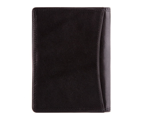 Etui na dokumenty WITTCHEN Da Vinci 39-2-174-1